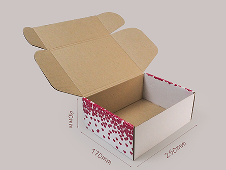 Foldable Mailer Box for Festivals
